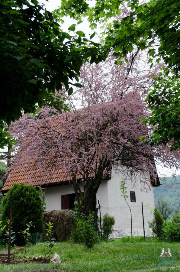 Lodge Zbilje Visoko, Bosnian Pyramids Εξωτερικό φωτογραφία
