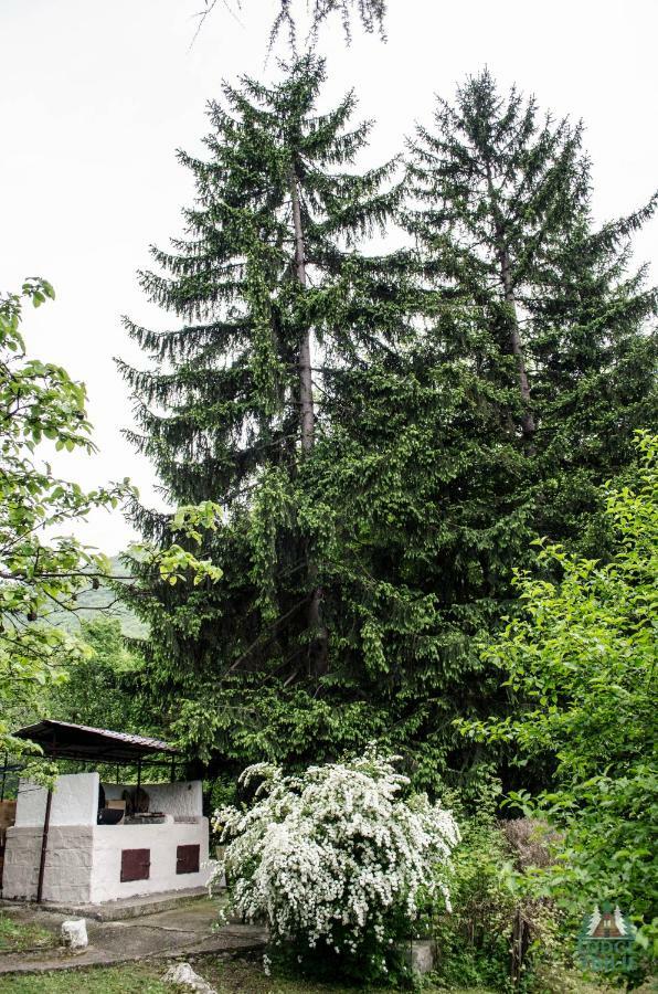 Lodge Zbilje Visoko, Bosnian Pyramids Εξωτερικό φωτογραφία